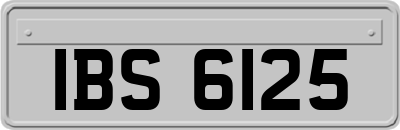 IBS6125