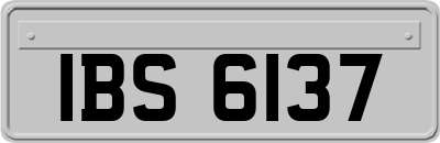 IBS6137