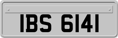 IBS6141