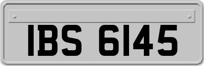 IBS6145