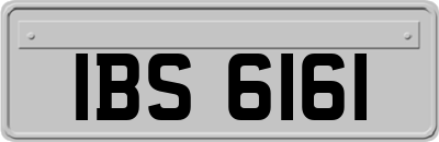IBS6161