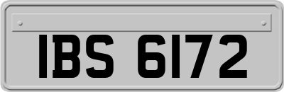 IBS6172