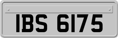 IBS6175