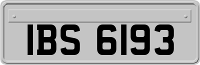 IBS6193