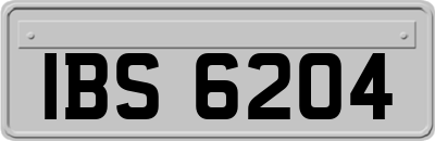 IBS6204
