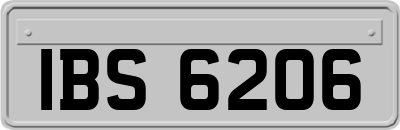 IBS6206