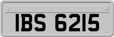 IBS6215