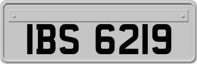 IBS6219