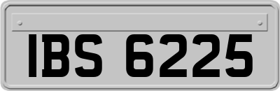 IBS6225