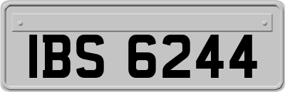 IBS6244