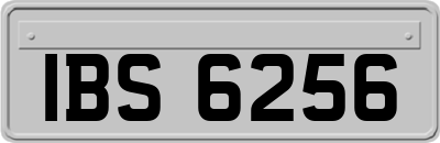 IBS6256