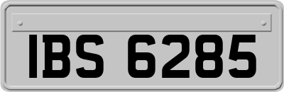 IBS6285