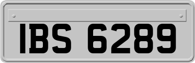 IBS6289