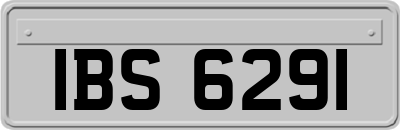 IBS6291