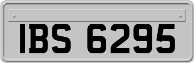 IBS6295