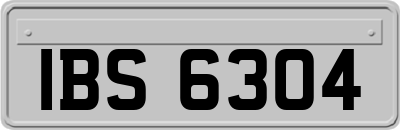IBS6304