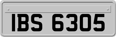 IBS6305