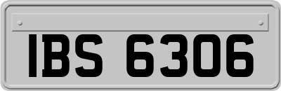 IBS6306