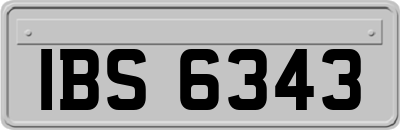 IBS6343