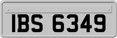 IBS6349
