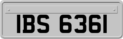 IBS6361