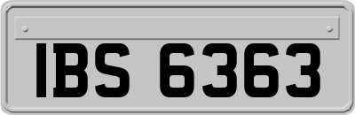 IBS6363