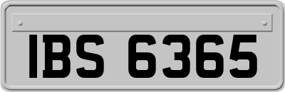 IBS6365