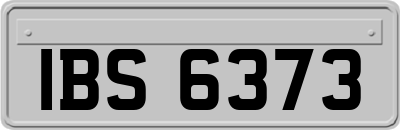 IBS6373