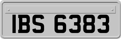 IBS6383