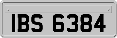IBS6384