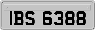 IBS6388