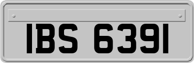 IBS6391