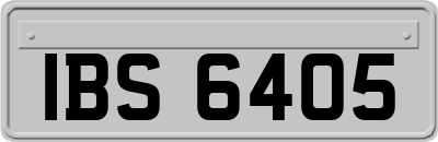 IBS6405