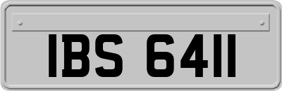 IBS6411