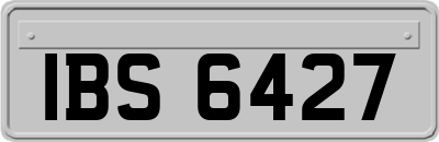 IBS6427