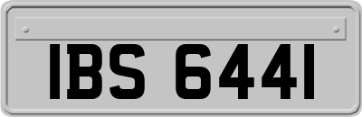 IBS6441