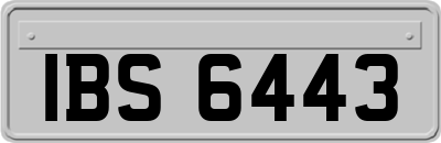 IBS6443