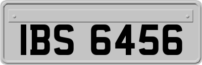 IBS6456