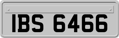 IBS6466