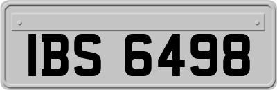 IBS6498
