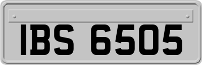 IBS6505