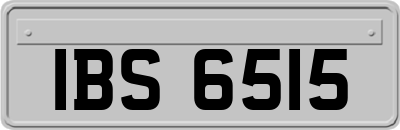 IBS6515