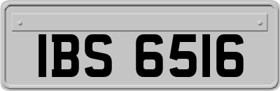 IBS6516