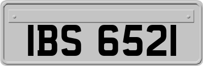 IBS6521