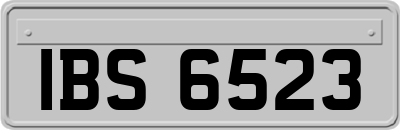 IBS6523