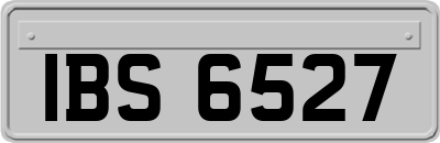 IBS6527