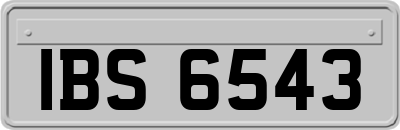IBS6543