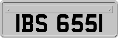 IBS6551