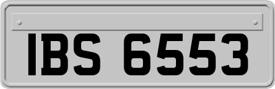 IBS6553
