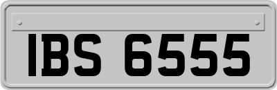 IBS6555